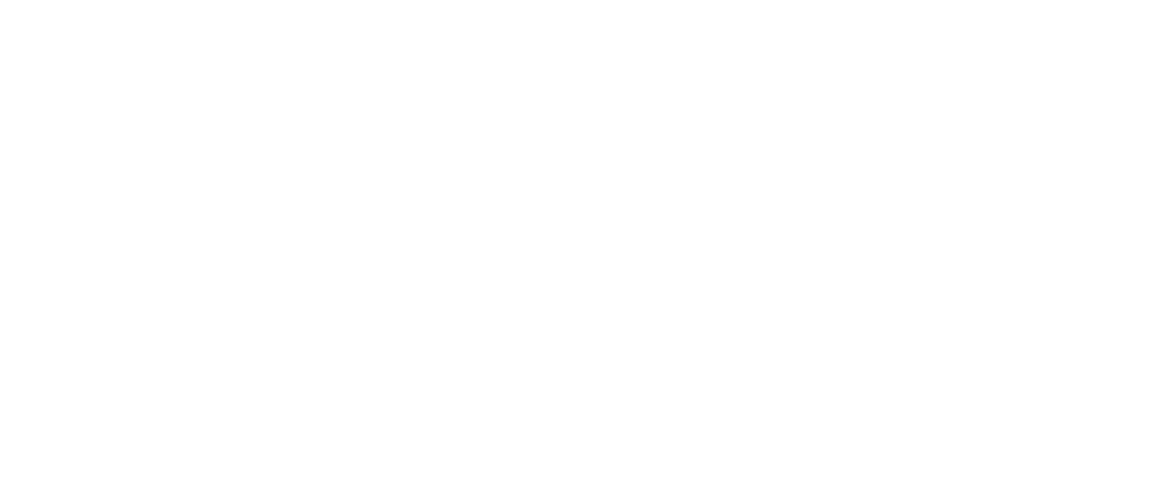 Conecta Bolivia